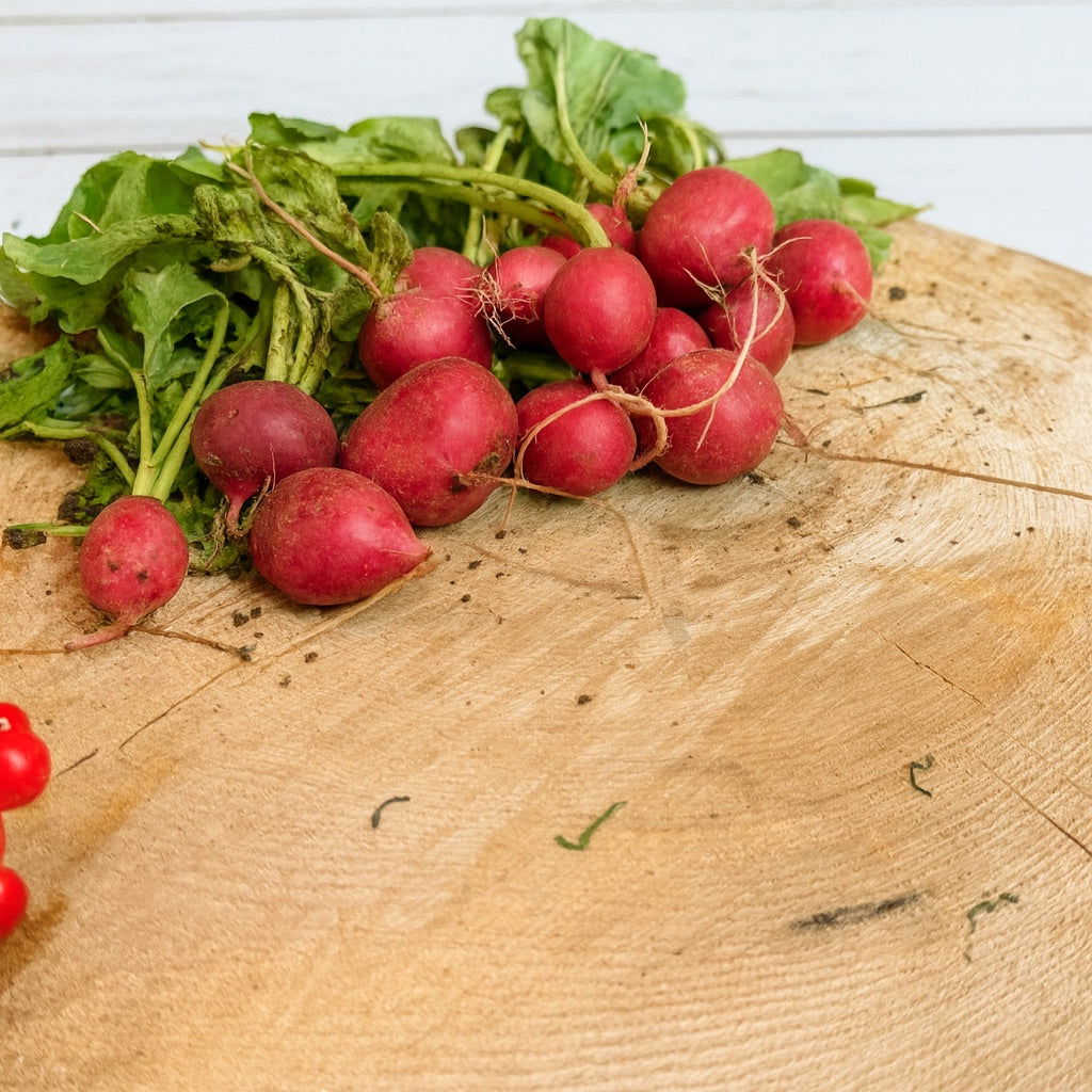 Radish