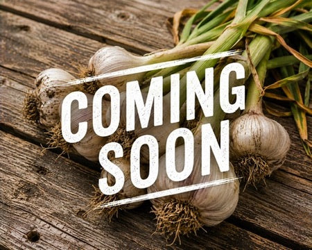 Garlic