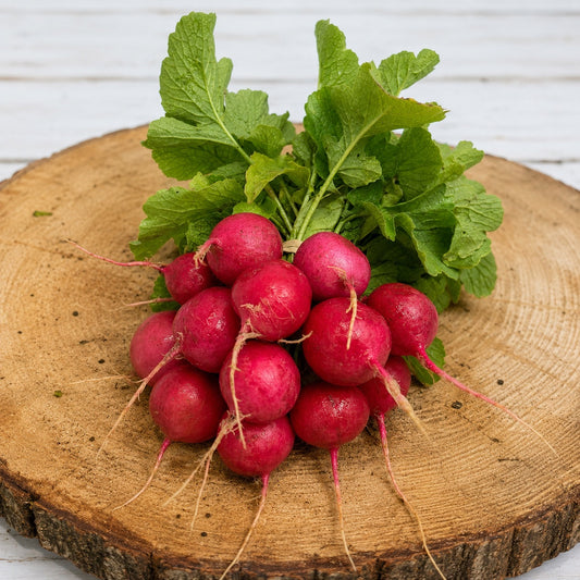 Radish